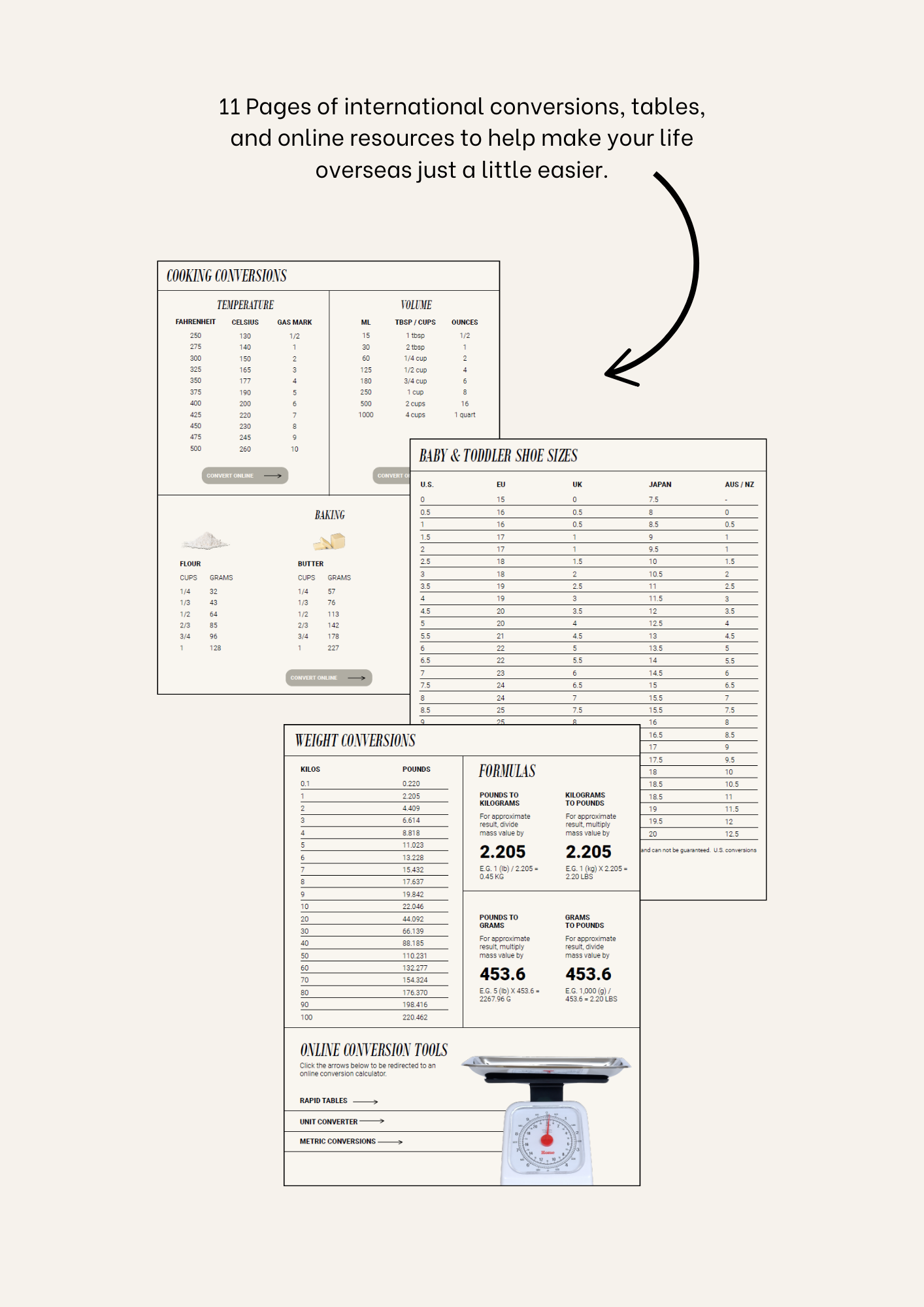 International Conversion Guide